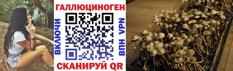 Псилоцибиновые грибы Magic Shrooms  Новая Ладога 